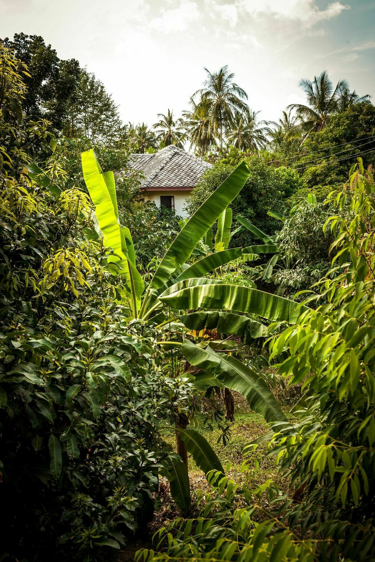 Cashew Nut Village Bophut Dış mekan fotoğraf